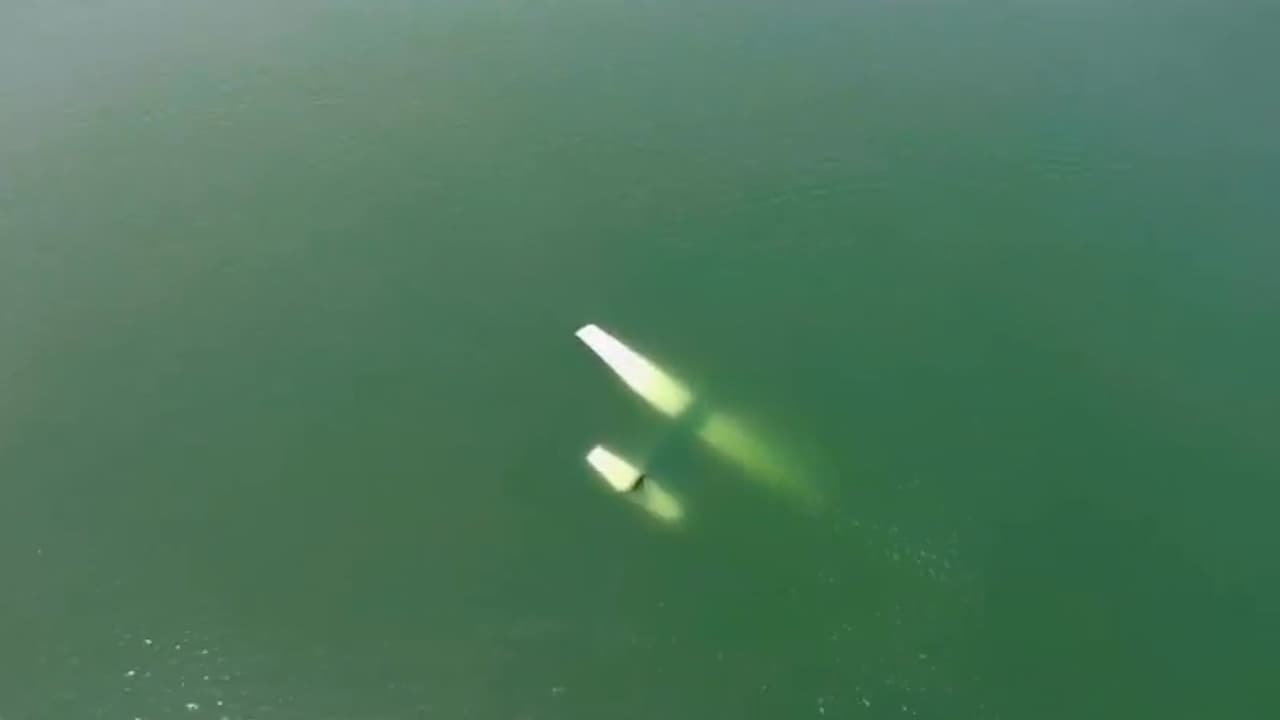 Piloto resulta herido tras caída de avioneta en Lady Bird Lake