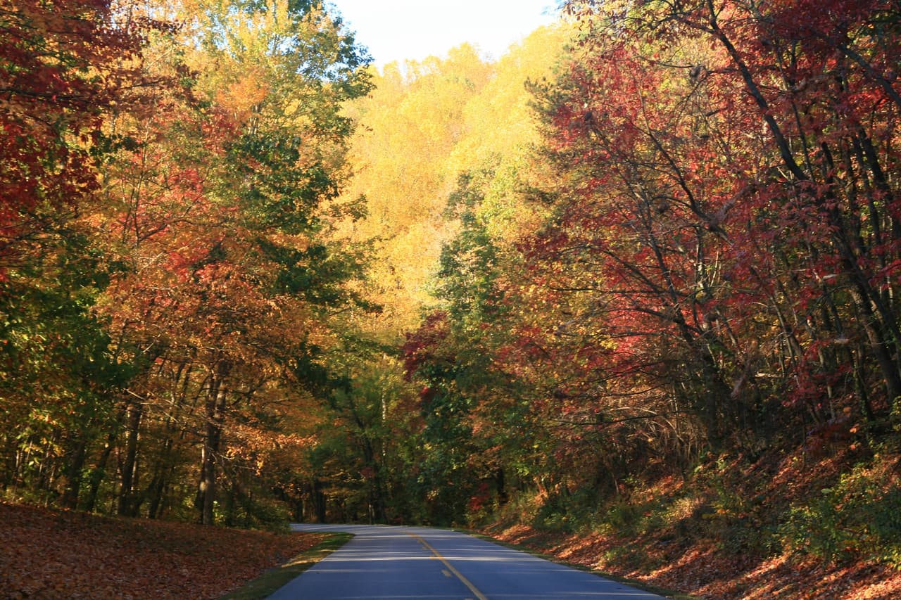 La carretera está abierta todo el año, pero algunas secciones pueden cerrarse debido a las inclemencias del tiempo o al mantenimiento.
