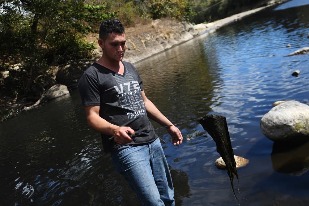 El Lempa nace en Guatemala, discurre por Honduras y acaba desembocando en el Pacífico en El Salvador tras recorrer 262 millas (422 km). Su presencia en estos países es esencial para el riego de cultivos y la producción de energía hidroeléctrica. Además, es una de las principales fuentes de abastecimiento de agua de El Salvador. En la imagen, Edwin Padilla, de 29 años, es un pequeño agricultor en Piñuelas, una pequeña aldea. Ante esta situación, este salvadoreño indicó que los vecinos están "nuevamente tristes y a la vez nos sentimos impotentes" y pidió a las autoridades "no miren como poco lo que está sucediendo en el río Lempa, porque de él nos mantenemos muchas familias".