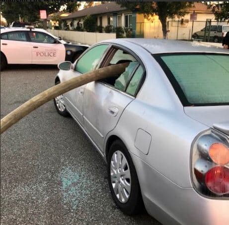 Las llamas fueron apagadas en 20 minutos aproximadamente, aunque ocho personas fueron desplazadas del edificio, sin reportes de heridos.