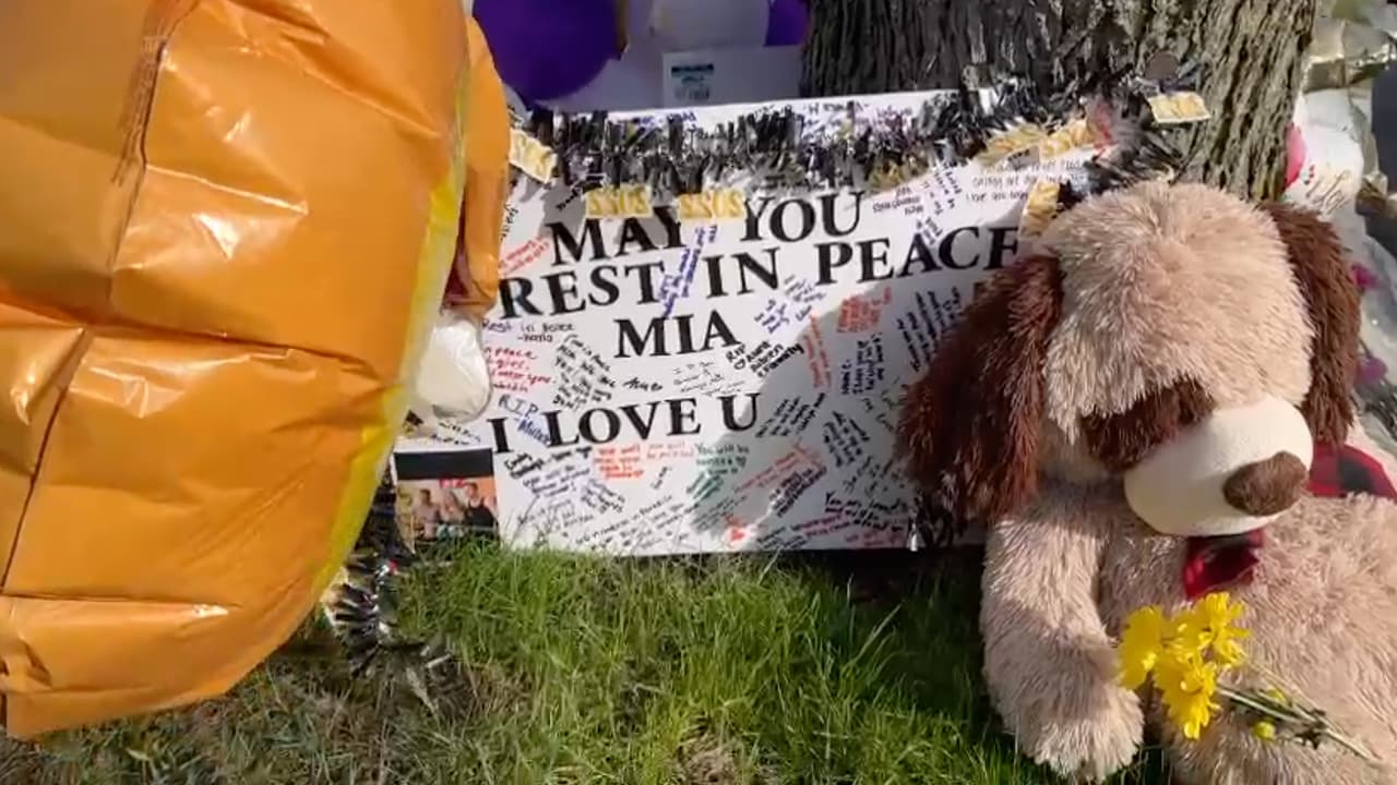 <b>Acuerdan llegar a la casa</b>
<br>Linda se comunica con Randa y acuerdan fingir que
<b>buscarán marihuana en casa de Mohammed Almaru</b>, con la intención de entrar a la casa y revisar si Mia está bien. Linda le pide a Randa que nadie se entere que van a ir a la casa de Almaru, al parecer para no alertarlo.