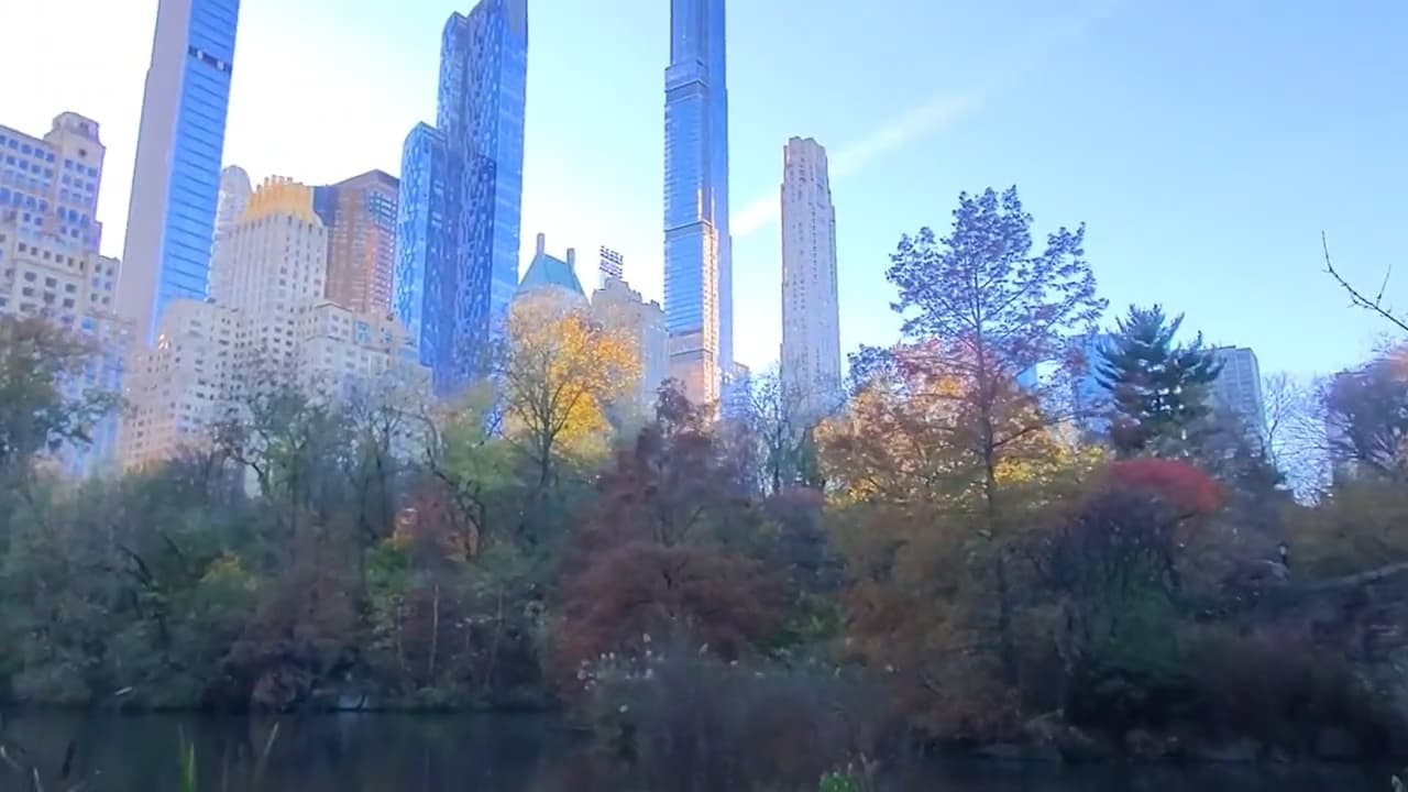 Mes nacional de Parques.
<br>Por la celebración del mes de los Parques nacionales, la dirección de Parques de Nueva York tendrá dinámicas y actividades recreativas gratuitas durante todos los fines de semana de julio.
<br>Revisa el programa de actividades 
<b><a href="https://www.nycgovparks.org/events/2023/07/02/celebrating-national-park-and-recreation-month1" target="_blank">en el siguiente enlace</a></b>.