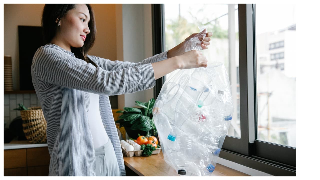 Puedes aportar tu granito de arena con pasos sencillos como: 
<b>usar botellas y tazas reciclables, </b>usar bolsas del supermercado reutilizables, mantener un contenedor para desechos que se puedan reciclar, evita contenedores de comida que únicamente se pueden usar una vez y donar los artículos usados, en vez de tirarlos a la basura.
<br>