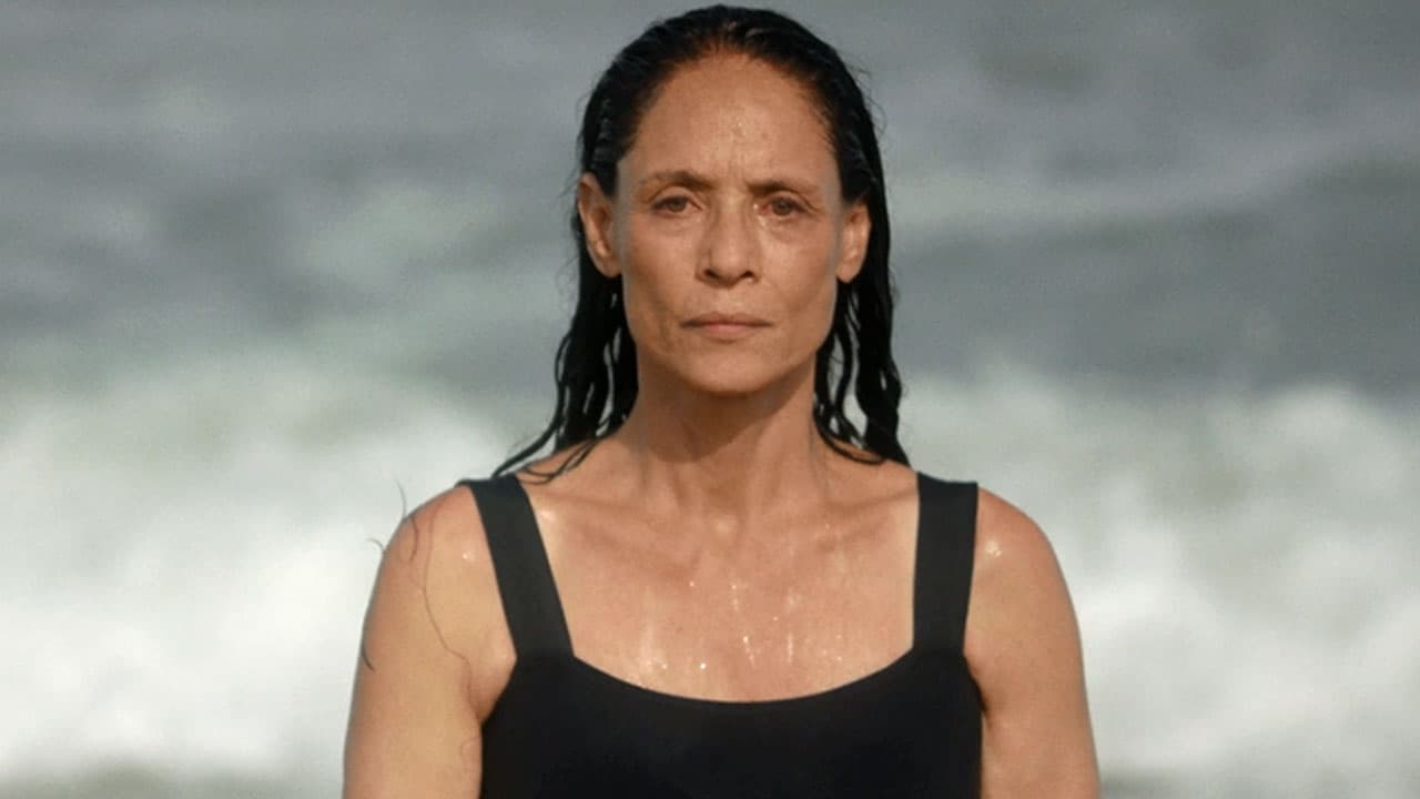 Hablando de talento latino este año, 
<b>Sonia Braga</b> ha acumulado muy buenas críticas por su rol en '
<b>Aquarius</b>', pero la brasileña se quedó en el camino.