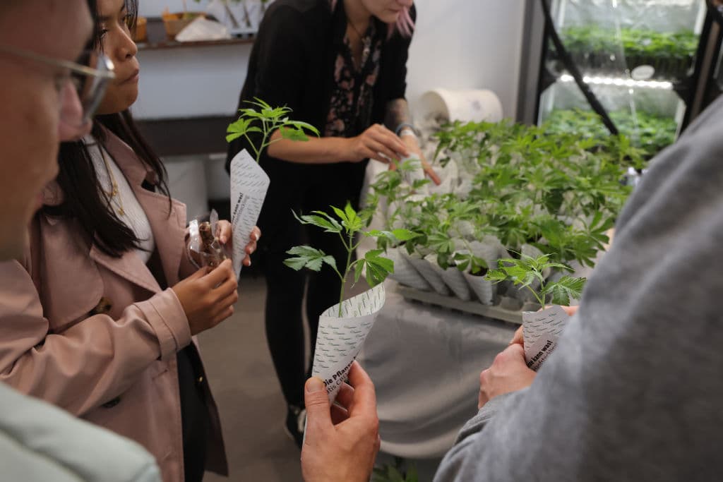 La enmienda 3 fue rechazada por la mayoría de los votantes de Florida, pero fue apoyada en Tampa