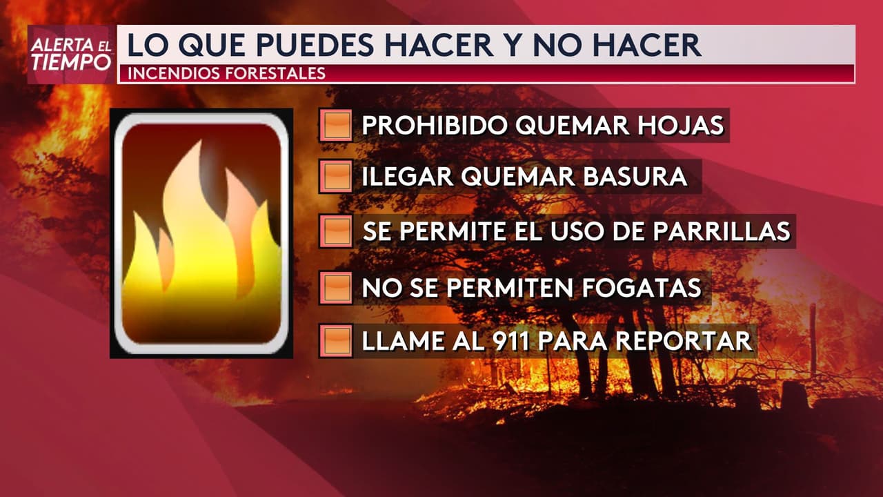 Gran parte de Carolina del Norte tiene vigentes varias prohibiciones para prevenir los incendios forestales.