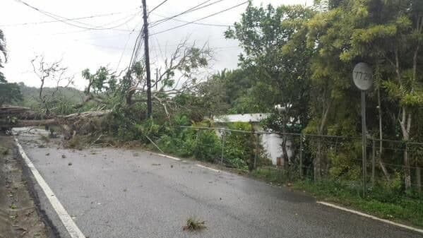 Siguen trabajando para restablecer electricidad en PR