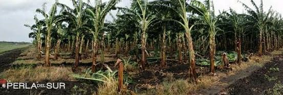 La agricultura subrió algunos embates directos.