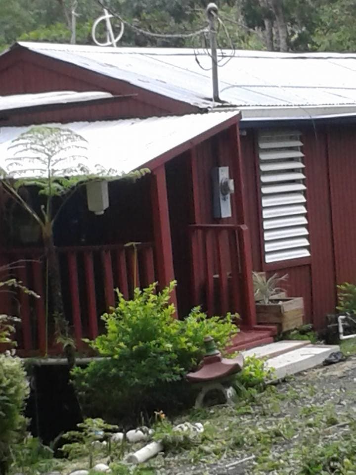 Algunos ciudadanos reportaron árboles caídos e interrupción en el servicio eléctrico