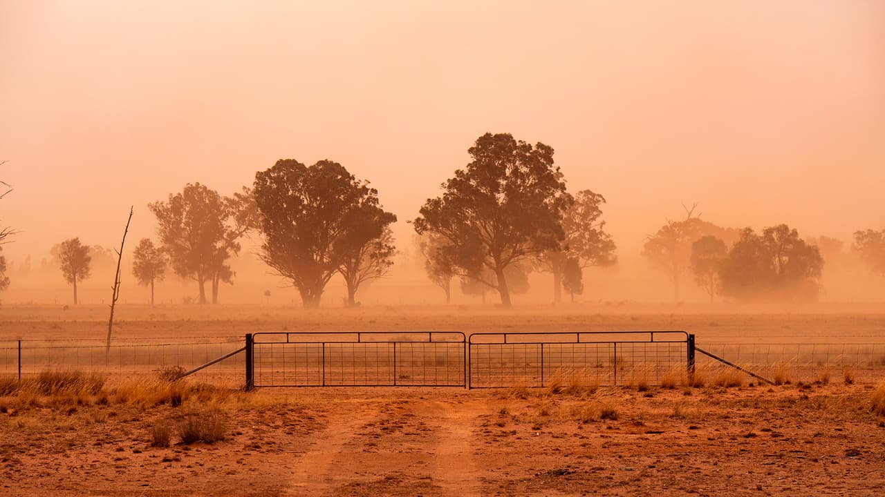 <b>Durante una tormenta de polvo</b>
<br>Si ve que una tormenta de polvo se aproxima, 
<b>permanezca al interior</b> tanto como sea posible, cierre ventanas, puertas y rejillas de ventilación, apague el aire acondicionado y no deje a las mascotas al exterior. Cubra nariz y boca con una mascarilla diseñada para bloquear partículas de polvo y espere a que pase la advertencia.