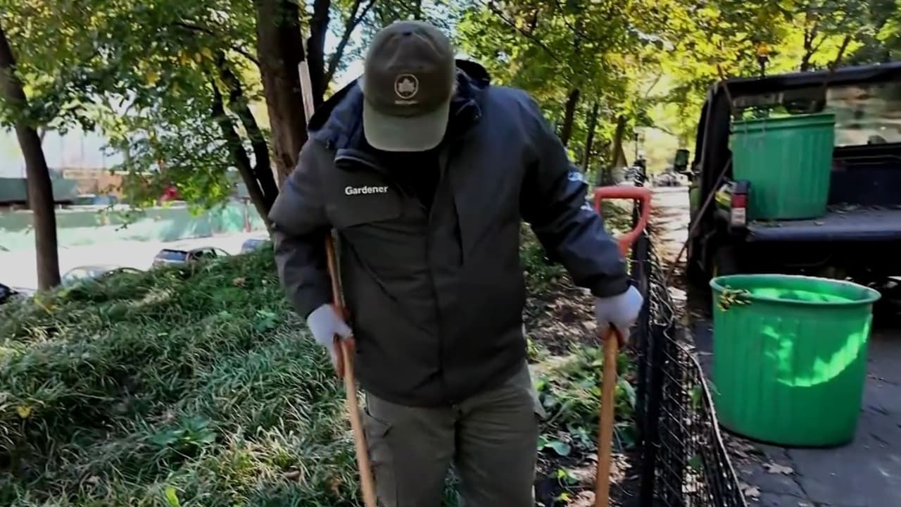 De maestro a jardinero en Nueva York: Genaro Ozuna trabaja para salir adelante