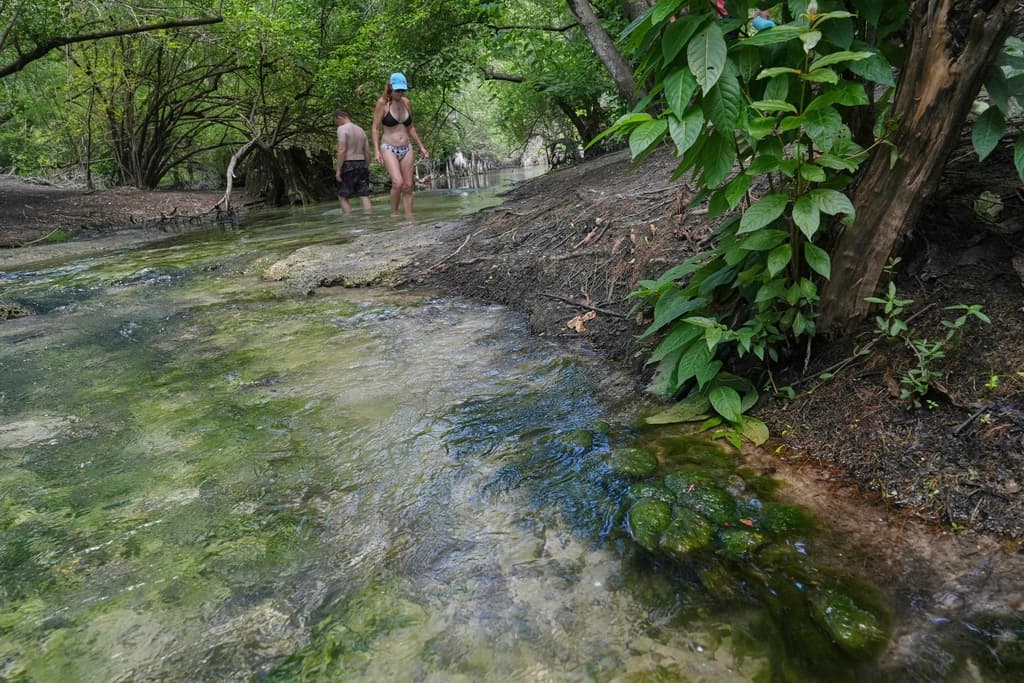En el Congreso, el representante Randy Fine propuso la creación de un Parque Nacional de Manantiales de Florida, que abarcaría varios condados en torno al Bosque Nacional Ocala y garantizaría fondos adicionales.