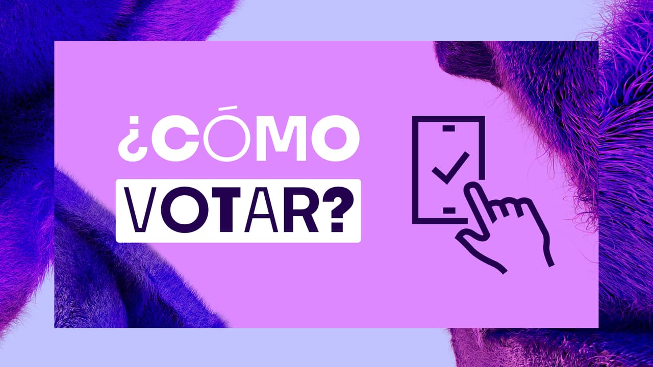 Premios Juventud 2023: ¿Cómo votar por tu artista favorito?