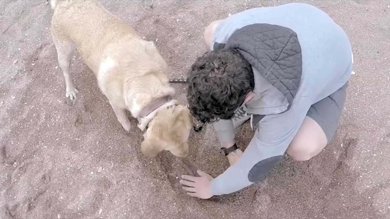 En él se encontraban las pistas para llegar a algo que aparentemente era increíble.