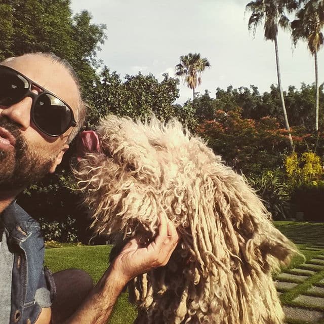 "El Potrillo" se divierte como enano al lado del enorme Kush.