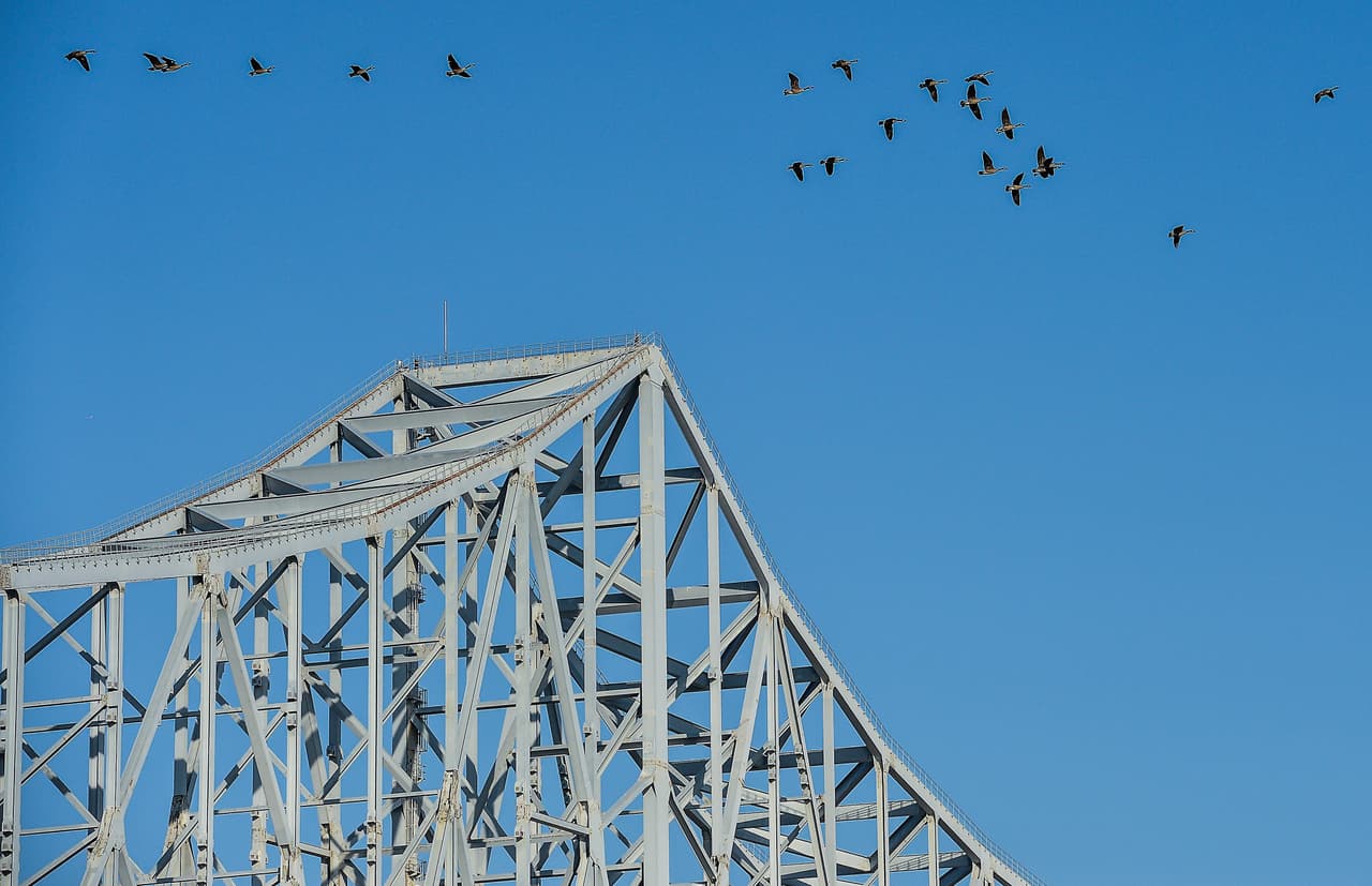 Tras el colapso del Francis Scott Key de Baltimore, ¿cuál es el estado de los puentes de Filadelfia?
