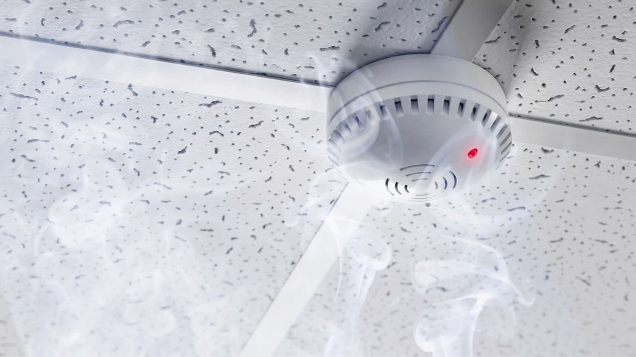 <h3 class="cms-H3-H3">Seguridad en el hogar </h3>
<br>
<b>Instala alarmas de humo:</b> Coloca alarmas en cada habitación y revisa las baterías cada mes. 
<br>
<b>Evita sobrecargar enchufes</b>: No conectes demasiados aparatos en un solo tomacorriente para prevenir cortocircuitos. 
<br>
<b>Revisa el cableado eléctrico:</b> Si ves cables pelados o enchufes dañados, reemplázalos de inmediato. 
<br>
<b>Cocina con precaución: </b>Nunca dejes a los niños solos en la cocina cuando la estufa esté encendida.