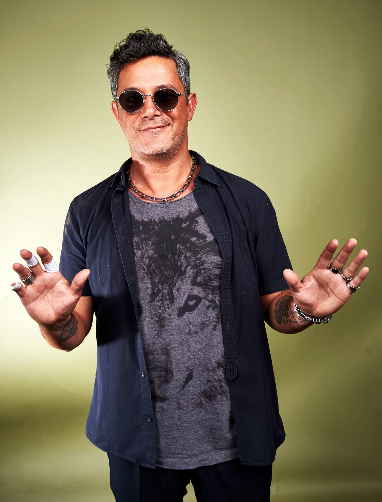 Alejandro Sanz es uno de los nominados más románticos ya que además de que se ha declarado fan del pop, él también tiene entre sus gustos disfrutar de las puestas de sol, así como escribir en días soleados.