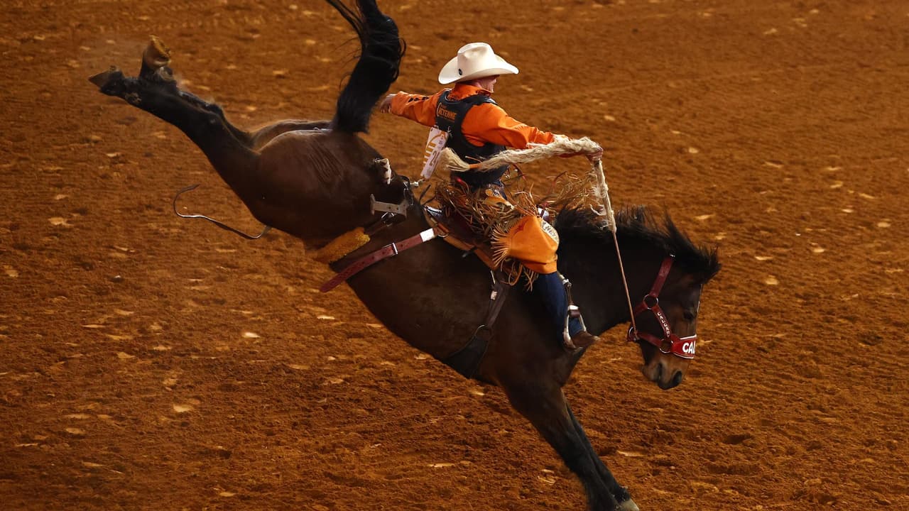 Feria y Rodeo del Condado de Galveston 2025: todo lo que necesitas saber si planeas asistir