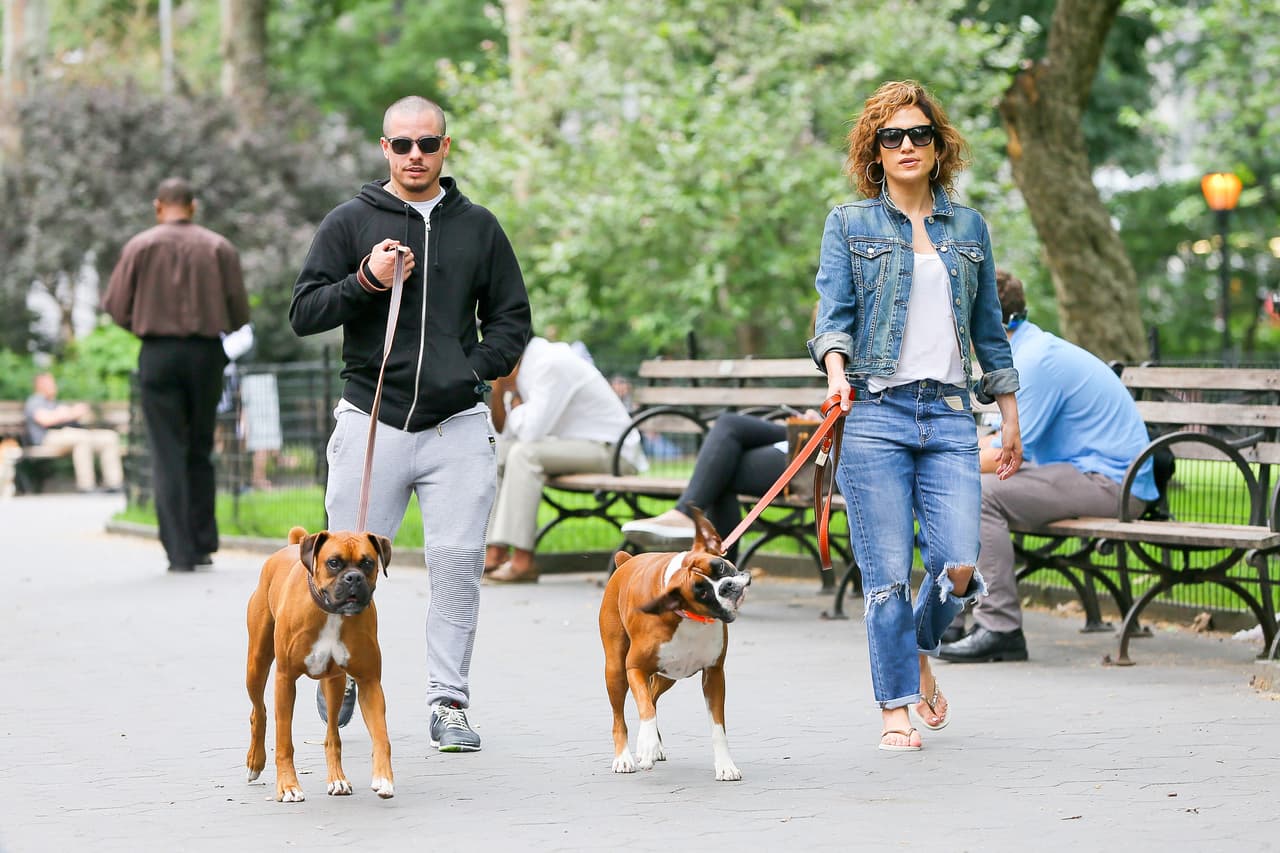 Bear y Roxy han estado un poco encerrados en casa.