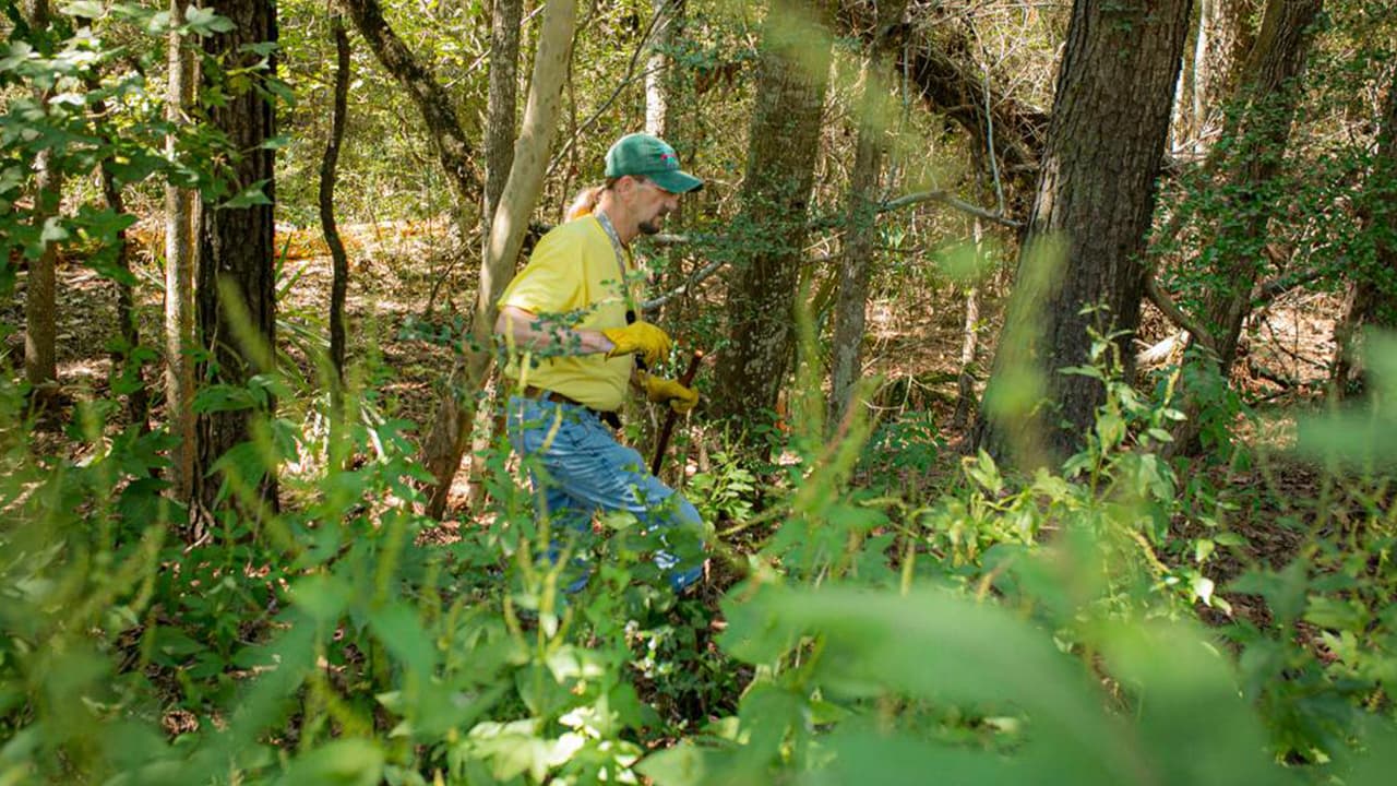 Mientras descargaban lo que habían comprado, su hijo 
<a href="https://www.univision.com/local/houston-kxln/desaparece-nino-condado-grimes">Christopher Ramírez, de 3 años</a> vio un perro vecino y estaba jugando con él y momentos después se había ido.