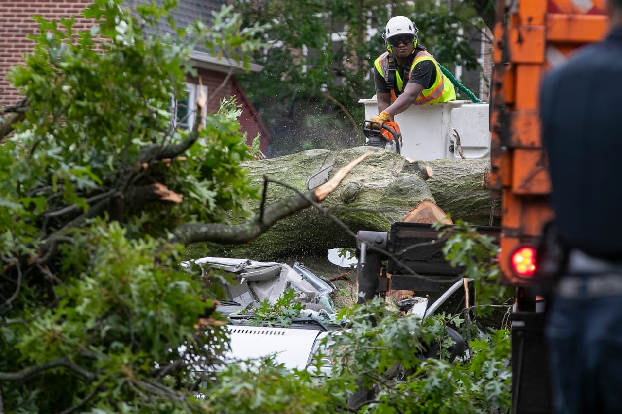 Los empleados de Parques de la ciudad trabajan
<b> para quitar un árbol caído sobre un automóvil donde una persona <a href="https://www.univision.com/temas/muertes">murió</a></b> debido a los estragos de Isaías.