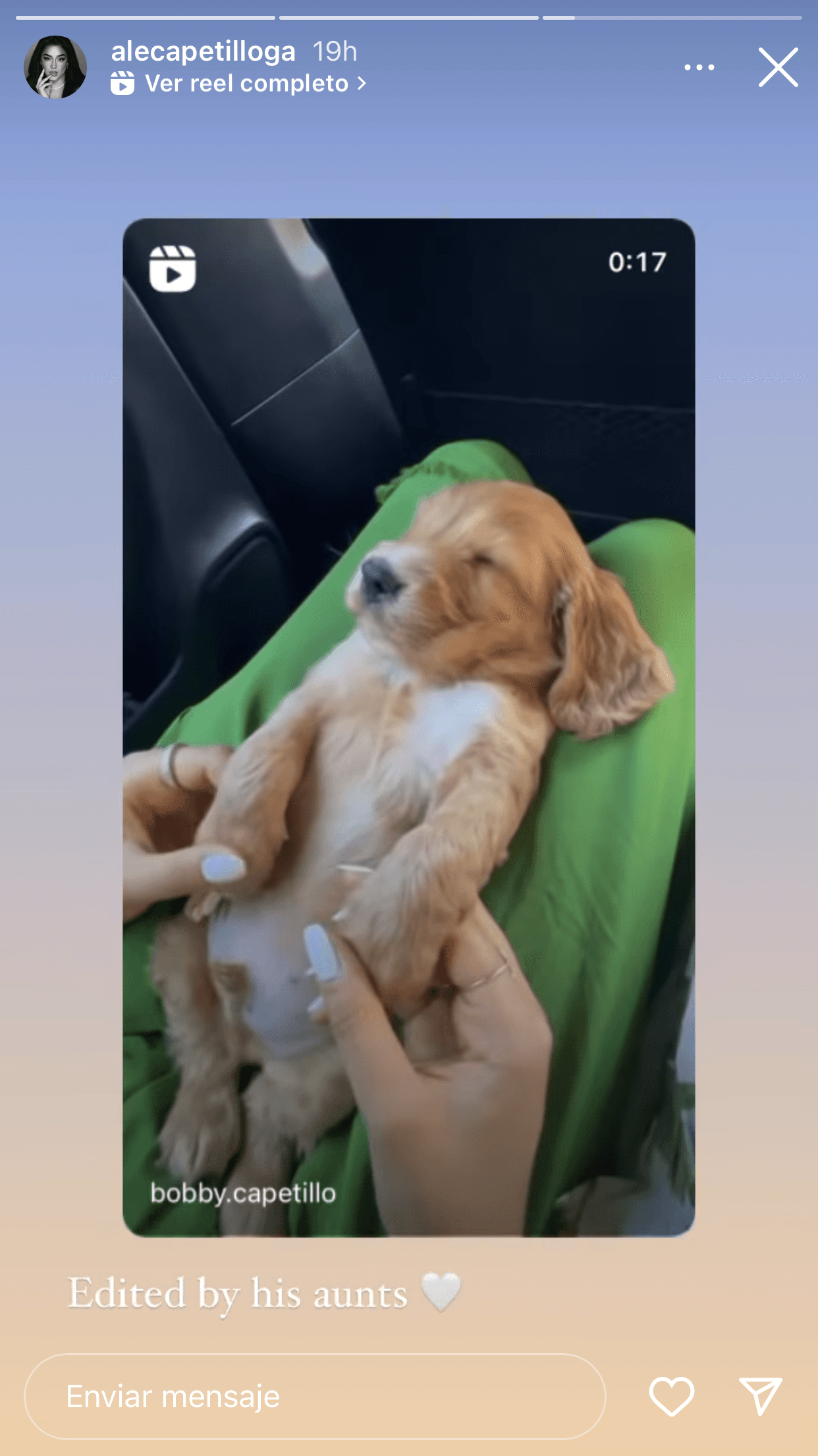 El perrito se ha convertido en su familia. Hasta ahora,
<b><a href="https://www.univision.com/famosos/hija-eduardo-capetillo-biby-gaytan-no-visitan-espana-fotos" target="_blank"> ni Biby Gaytán ni Eduardo Capetillo han viajado a España</a></b> a visitar a su hija.