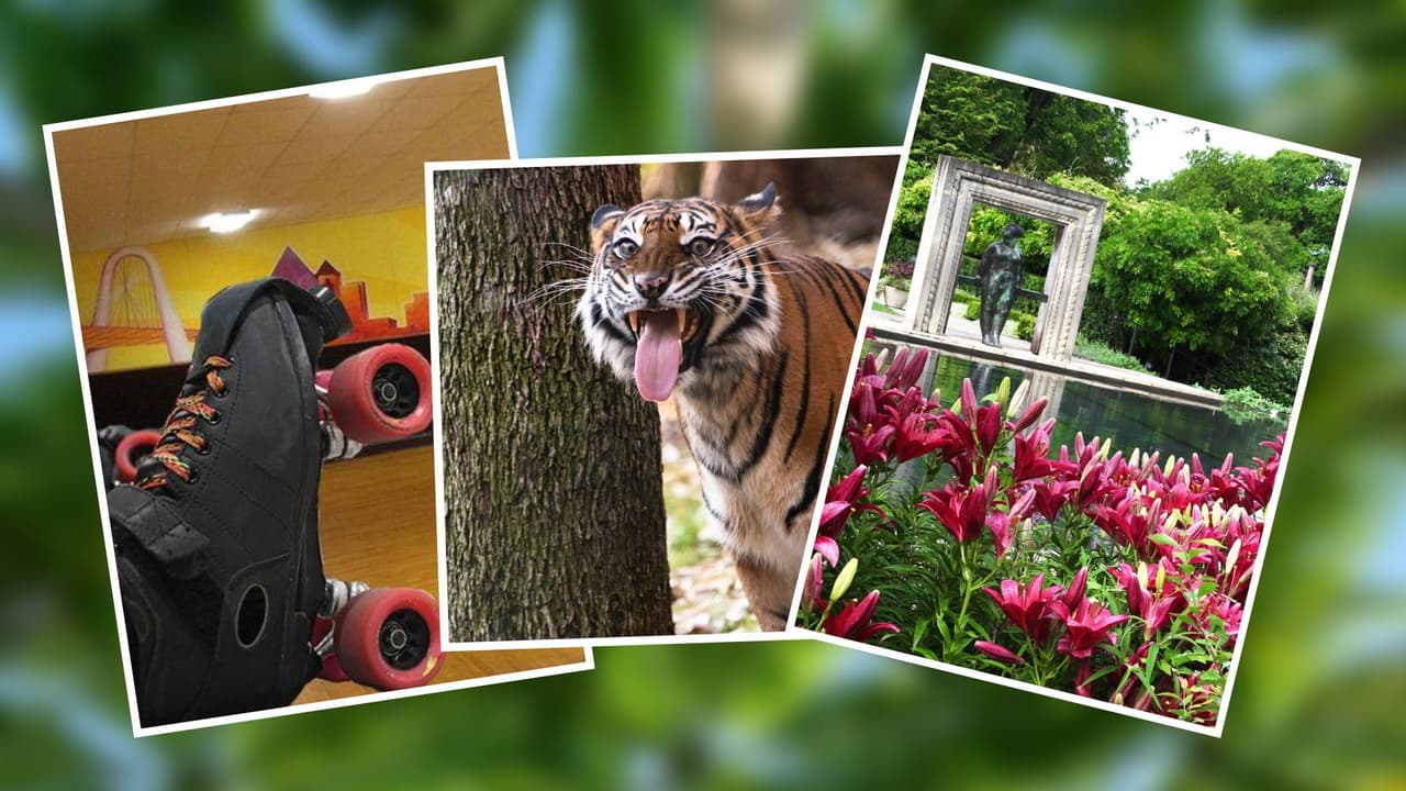 La ciudad de Dallas ofrecerá 10,000 pases gratis a adolescentes de entre 13 a 17 años para que disfruten durante julio en sus vacaciones de verano. Los jóvenes tendrán que ir por el pase a cualquier centro recreativo de Dallas,
<a href="https://www.dallasparks.org/160/Recreation-Centers" target="_blank">puedes ver aquí </a>l as ubicaciones. Esto deberán hacerlo a partir del 27 de junio y hasta el 31 de julio.
<br>