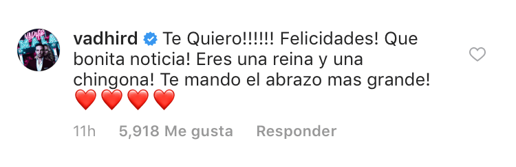 Mientras que su hermano Vadhir Derbez se alegró por la buena noticia y mandó "el abrazo más grande" a la futura mamá.