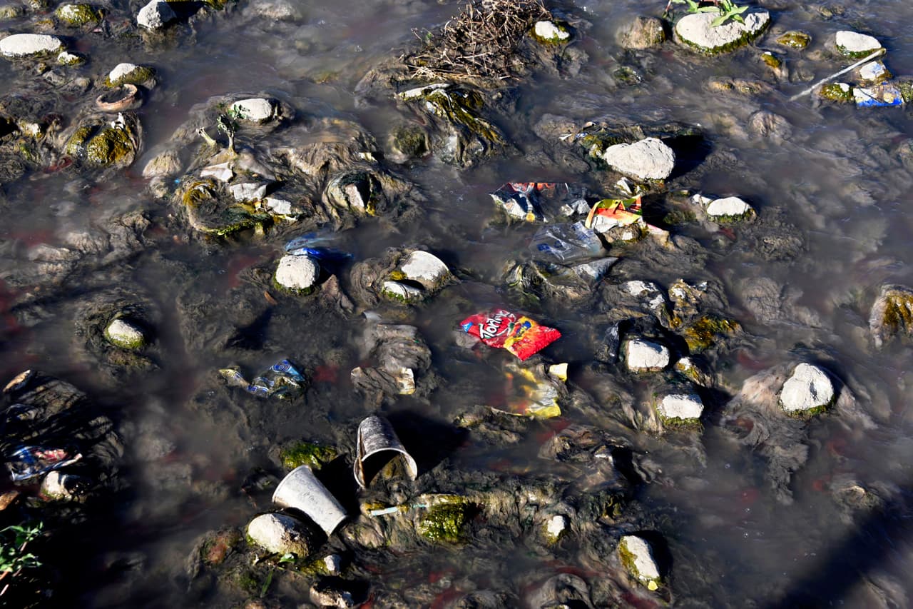 Debido al incremento de basura y aguas no tratadas en 2009, 2015 y 2016 este lago experimentó un "florecimiento enorme" de cianobacterias. Según explica Mónica Orozco, directora del Centro de Estudios Atitlán de la privada Universidad del Valle de Guatemala, entonces las fuertes lluvias arrastraron desechos y nutrientes como fósforo y nitrógeno.