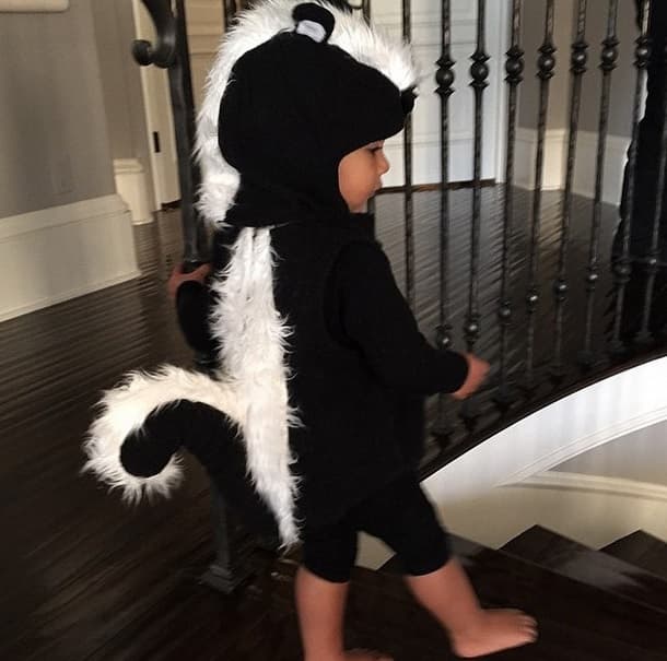 Pero esta señorita le ha robado totalmente el corazón.