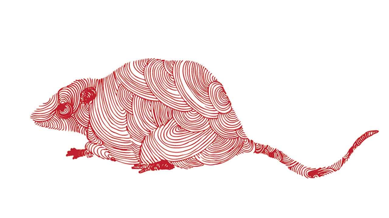 Rata del Horóscopo Chino