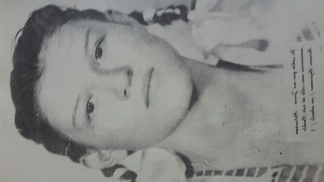 Lucha inició su carrera como modelo, pero gracias a su potente voz y su deseo de ser cantante, recibió la primera oportunidad con el nombre artístico de Lucy Ruiz.