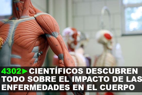 4302: Gran desarrollo de la ciencia. Científicos descubren todo sobre el impacto de las enfermedades en el cuerpo.