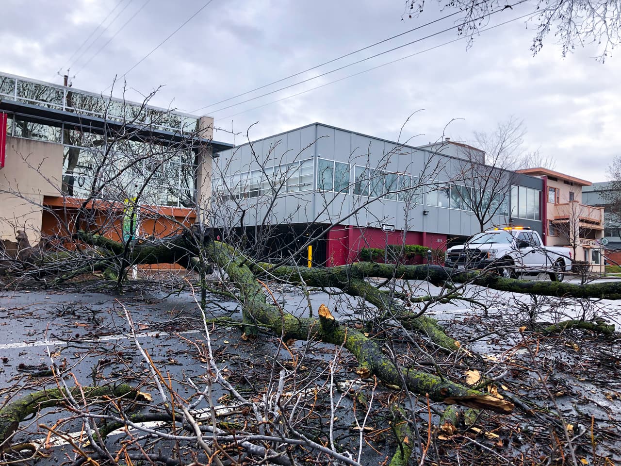 Patrullas de la Policía de Sacramento bloquearon algunas calles y equipos de limpieza de la ciudad comenzaron a remover la vegetación caída.