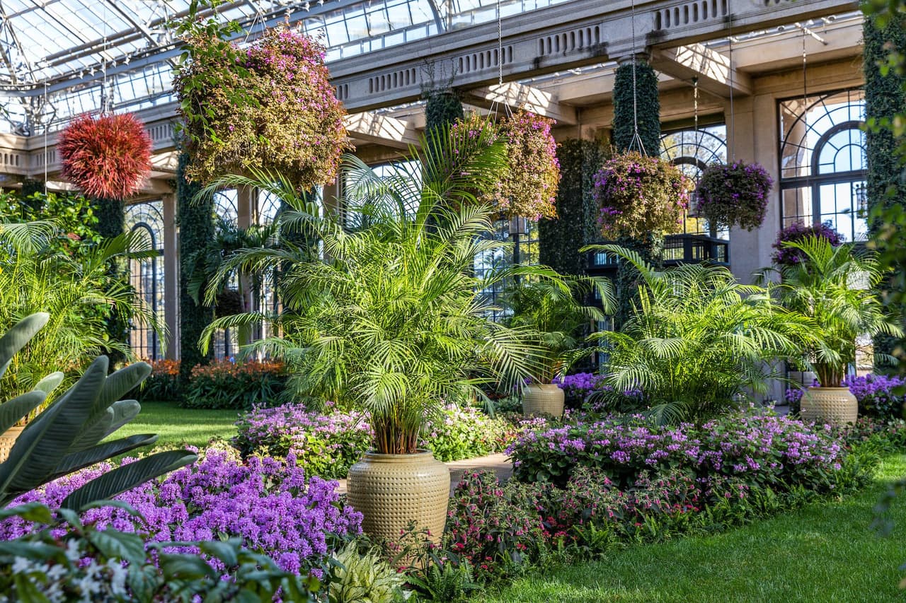 <b><a href="https://longwoodgardens.org/">Longwood Gardens (Kennett Square)</a></b>. Longwood Gardens es una de las exhibiciones hortícolas más grandes del mundo, que abarca 1,077 acres de deslumbrantes jardines, bosques, prados, fuentes, un órgano eólico de 10,010 tubos y un conservatorio de 4.5 acres.
<br>
<br>
<b><a href="https://goo.gl/maps/W5Titu98SSfMLcAu8">Cómo llegar</a></b>