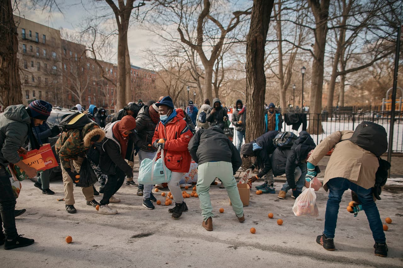 Los migrantes recogen cientos de naranjas.