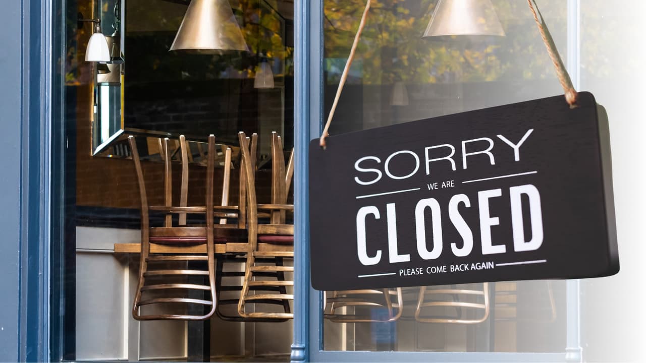 Cucarachas y rastros de roedores: ¿qué encontraron inspectores en restaurantes de Plano?