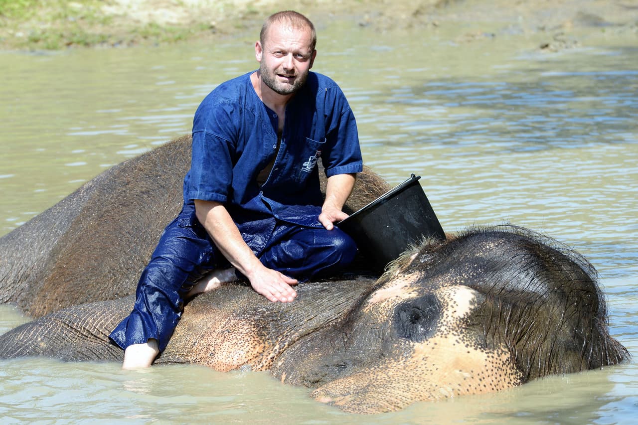 El elefantito es casi el ‘hermano pequeño’ de Petr.