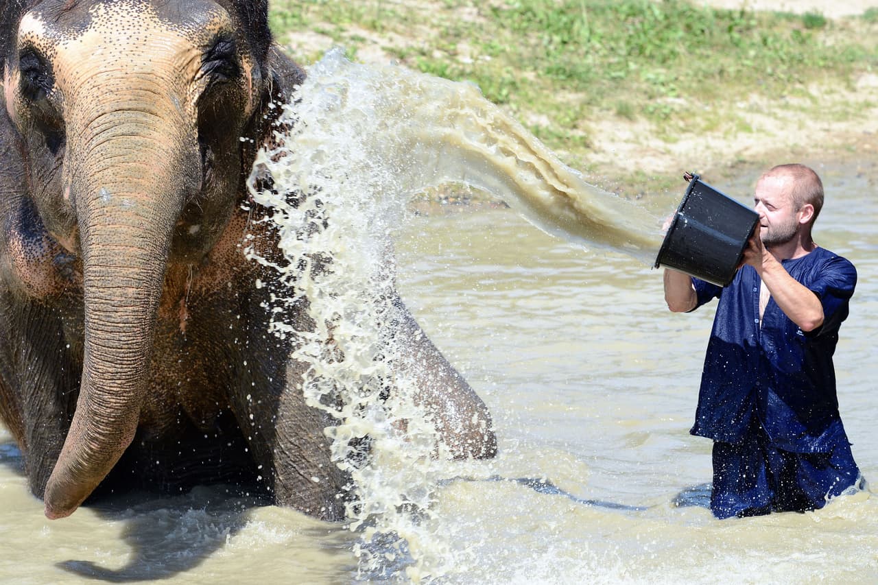 Petr leyó su mente y comenzó a lanzarle cubetas de agua para refrescarlo.