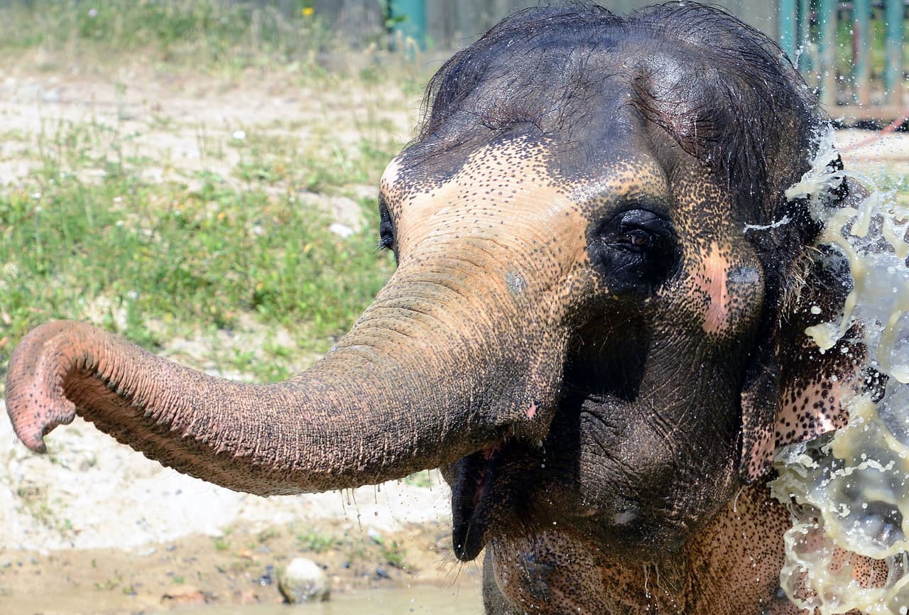 Lo condujo hacia uno de los estanques.