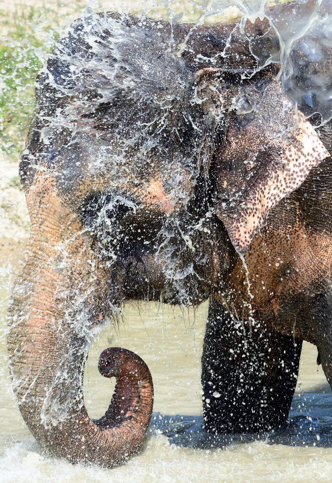 Por eso lo hizo a notar a su cuidado.
