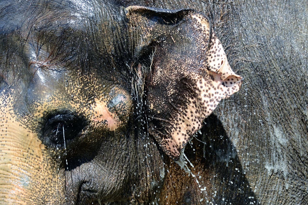 Luego se levantó para que el agua cayera por su cuerpo.