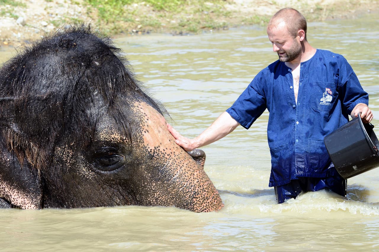 Peth Kiebel vio que el mamífero lucía asfixiado.