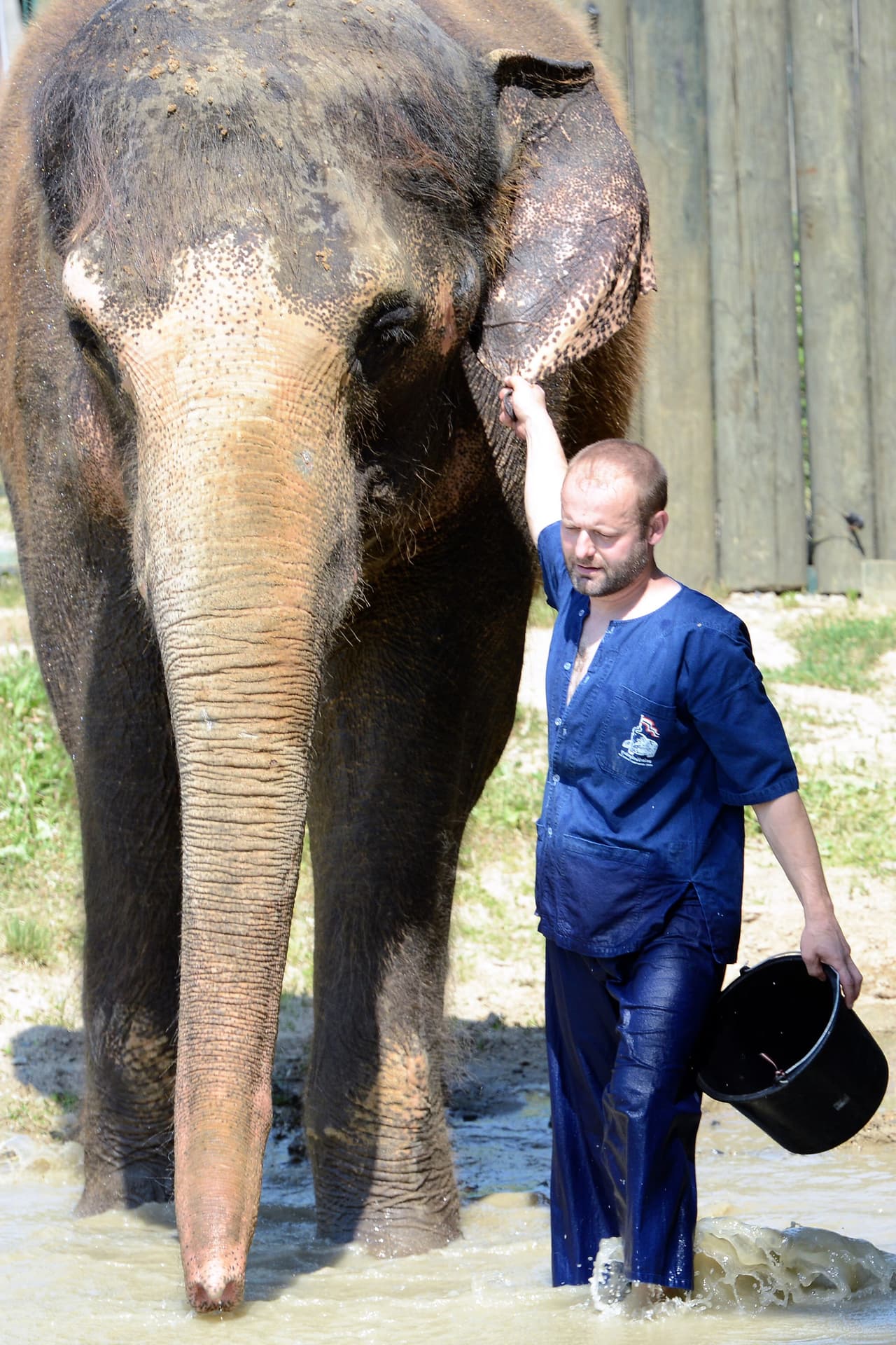Cuando el calor es muy grande, él siempre quién lo ayude.