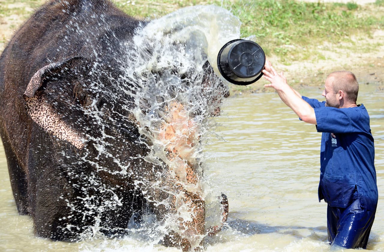 ¡Y la diversión comenzó!