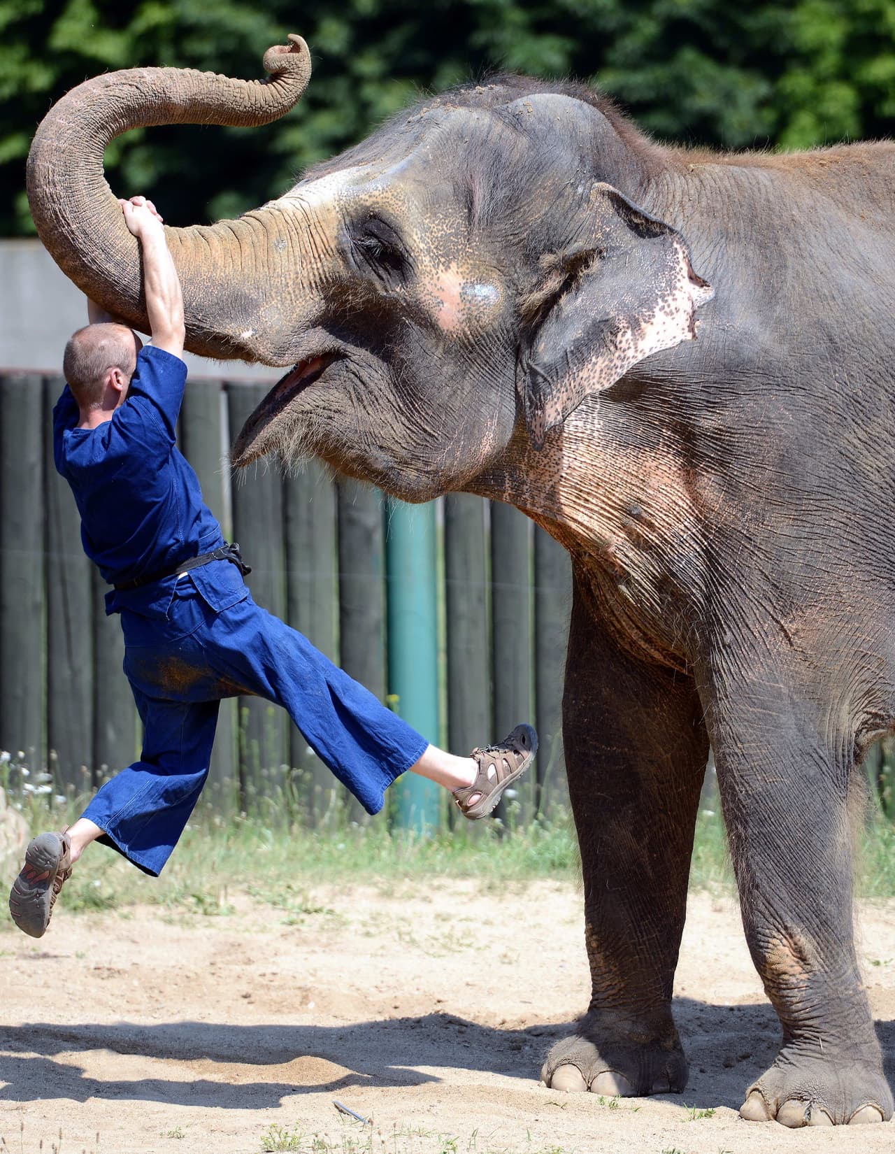 ¡No sin antes levantar al cuidador y agradecerle!