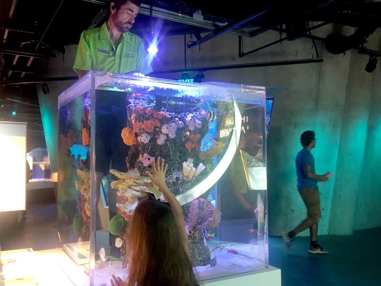 El museo se completa con otras dos áreas expositivas en las alas oeste y norte del edificio y un centro donde se imparten cursos sobre temas vinculados a la investigación espacial, además de cafés y zonas para pasear en bicicleta.