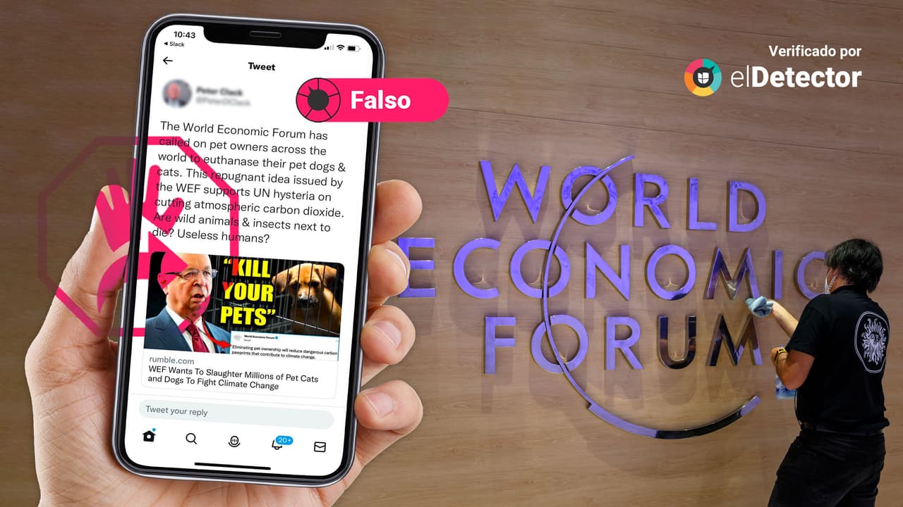 El Foro Económico Mundial NO ha pedido que sacrifiquen a perros y gatos