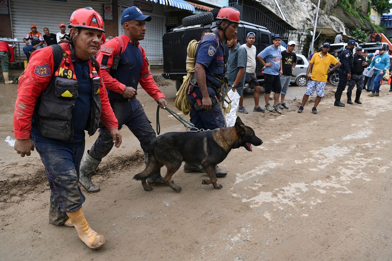 Rescatistas con un perro participan en la búsqueda de víctimas o sobrevivientes de un deslizamiento de tierra que arrasó con decenas de viviendas durante fuertes lluvias en Las Tejerías.
